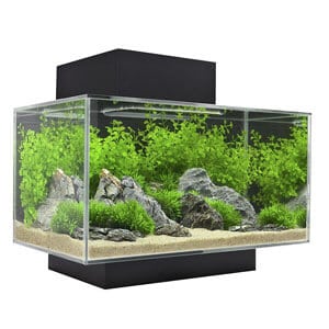 Fluval Edge 수족관