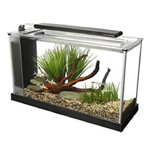 Fluval 사양 V