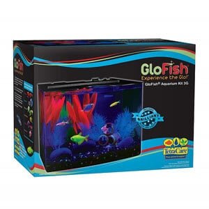 GloFish 수족관