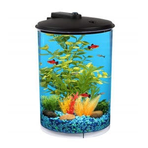Koller Aquaview 3 갤런 탱크