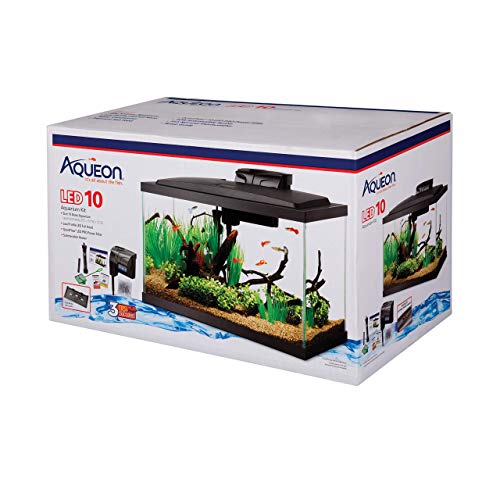 Aqueon 수족관 스타터 키트 (LED 조명 포함) 10